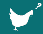 AMAP de la Fuye - Poule blanche