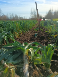 IMG_20251208_120847_419