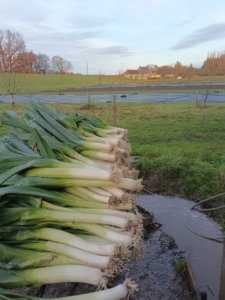 IMG_20251208_163314_681