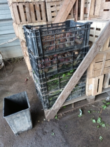 IMG_20260127_170544_503