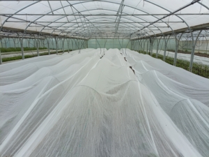 IMG_20260327_174143_911